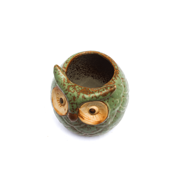 Ceramic Owl Pot