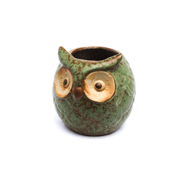 Ceramic Owl Pot