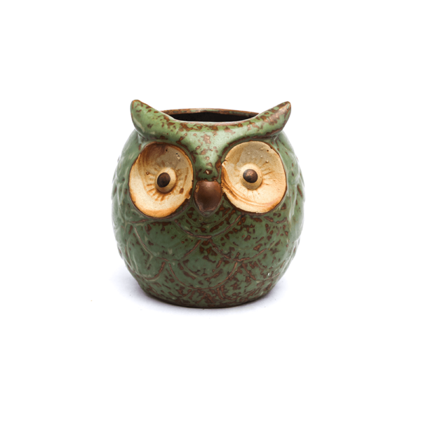 Ceramic Owl Pot