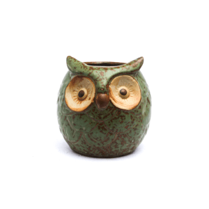 Ceramic Owl Pot