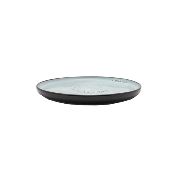 CER05862-8.5" Plate - Image 4