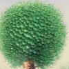 3D Colourful Tree-Green (46 x 46cm) - Image 4