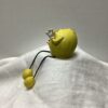 JUN00542-Lemon - Image 6