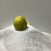 JUN00542-Lemon - Image 8