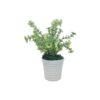 GDN00004-Artificial Philodendron Birkin c/w pot - Image 2