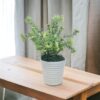 GDN00004-Artificial Philodendron Birkin c/w pot - Image 4